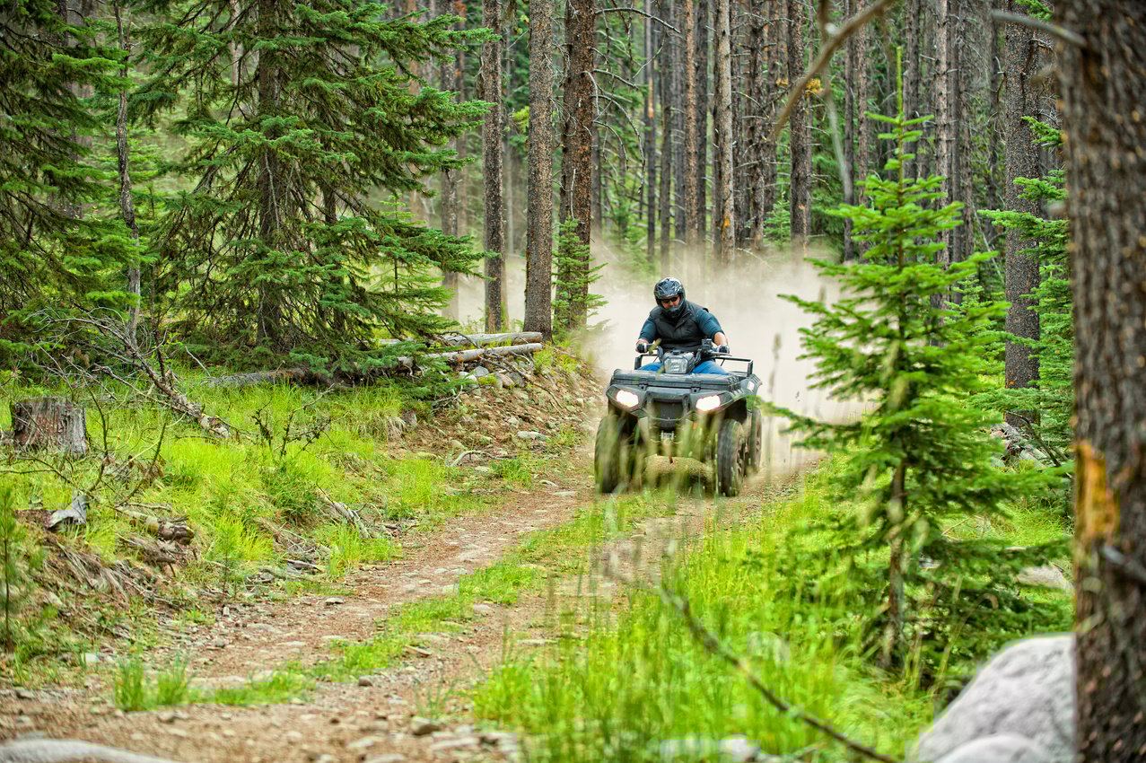 Forest Quad Action